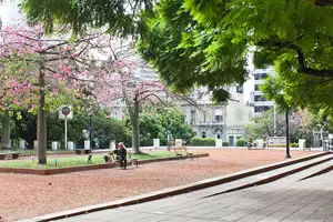 Avenida Alvear