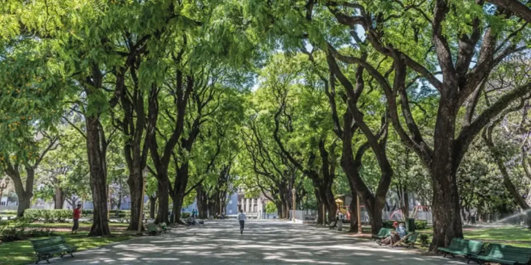 San Martín Plaza