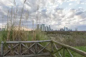Trail inside the Ecological Reserve of Puerto Madero